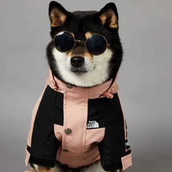 Dog Raincoat 4
