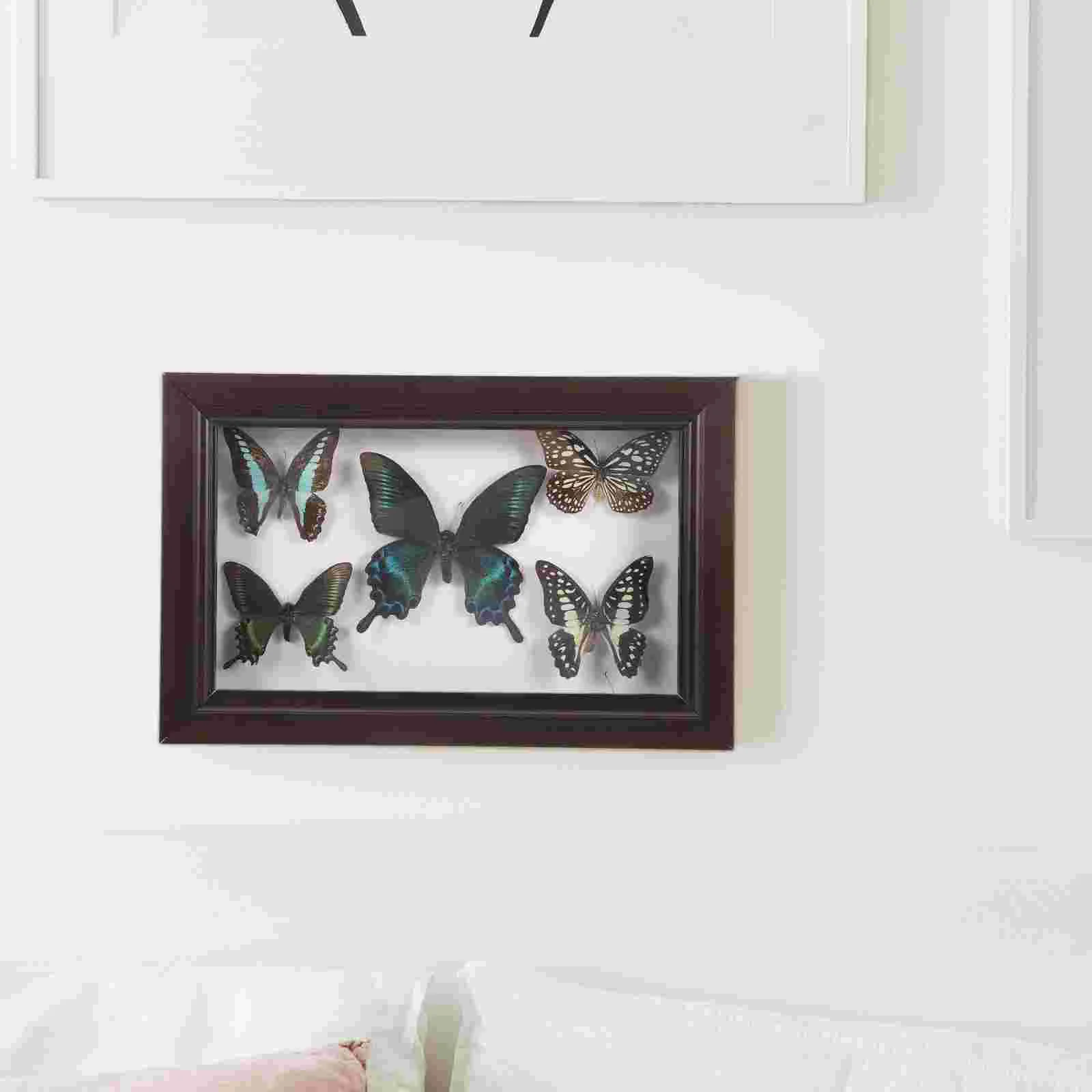 Wall Hanging Butterfly Specimen Exquisite Wall Decor Wall Hanging Specimen Wall Decoration butterfly specimen wall