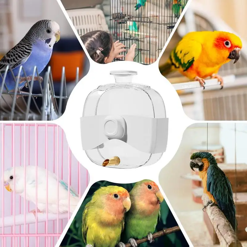 Alimentador de aves de gran capacidad, dispensador automático de agua para loros, comedero colgante para pájaros, accesorios para jaulas de pájaros, 450ml