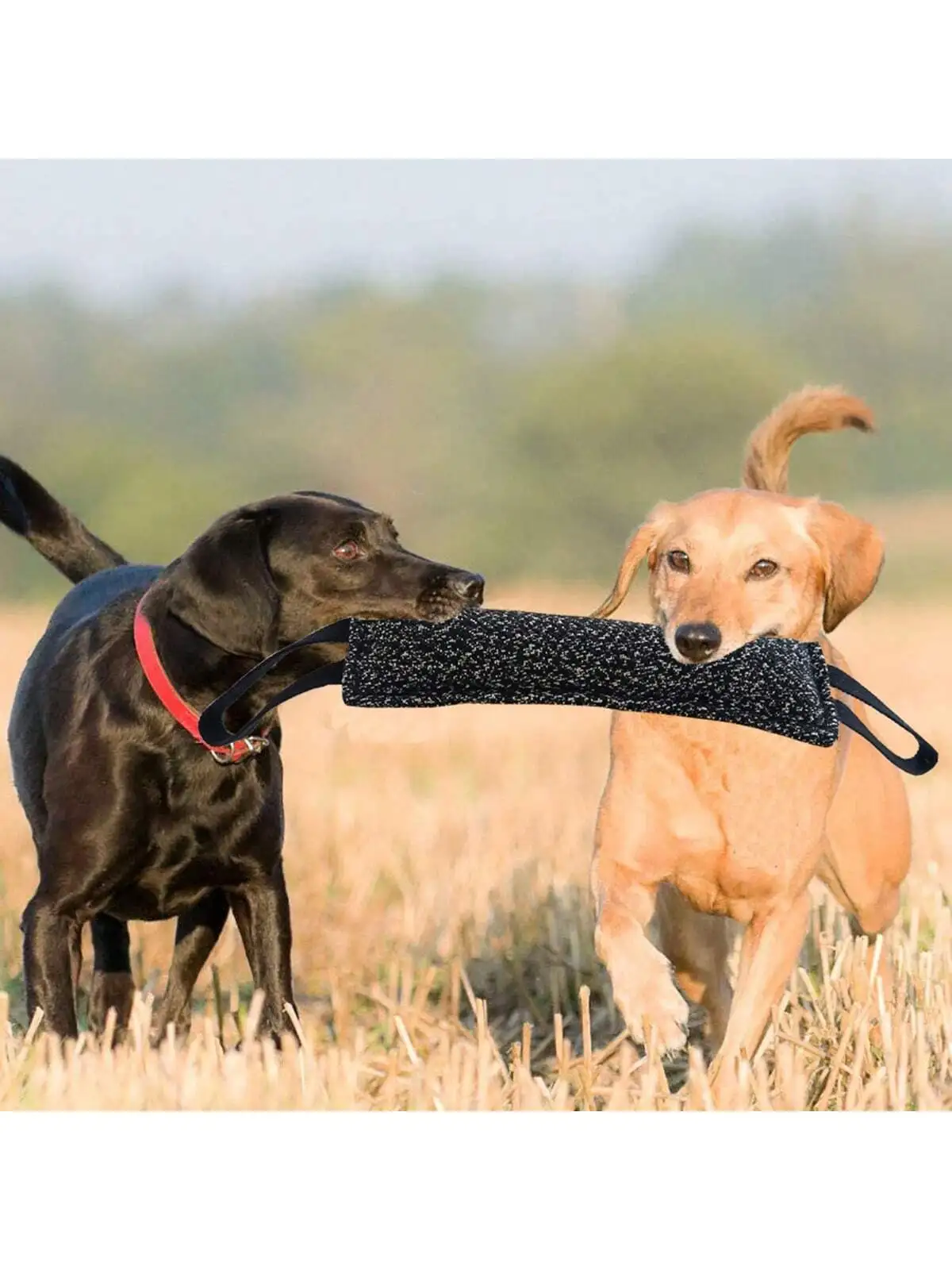 Thumbnail 2 - #27 Newest Dog Tug Toys