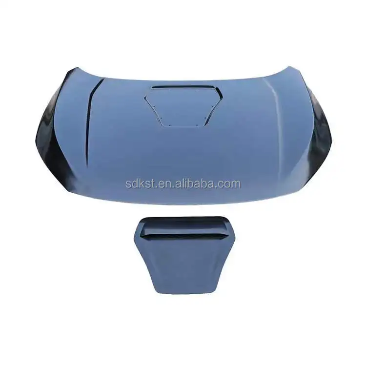 

Аксессуары для корпуса Стальной капот типа R для CIVIC 2016-2022 гг.