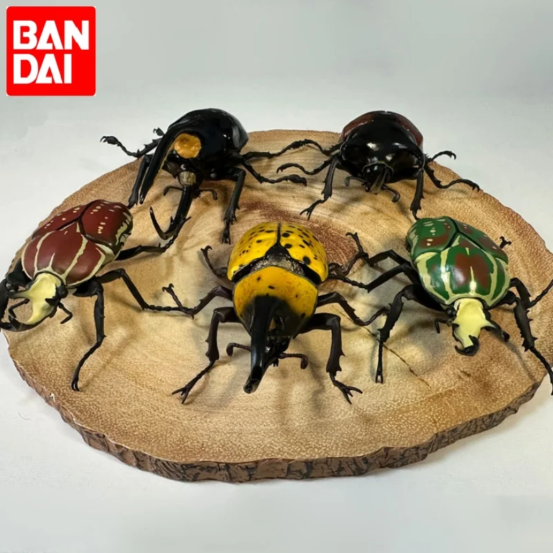 Bandai genuino huevo retorcido enciclopedia biológica 08 escarabajo grande dipper escarabajo tortuga dorada simulación insecto ornamento juguete