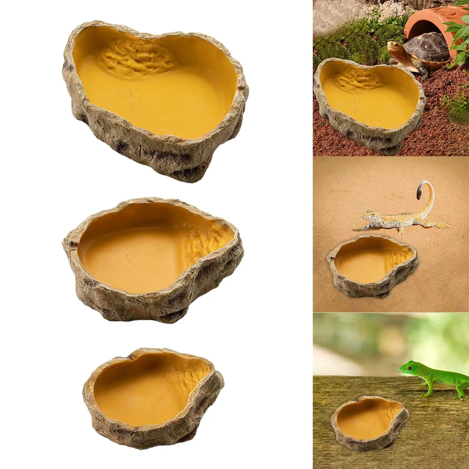 Water Basin Turtle Habitat Multifunction Easy to Feeding Breeding Box Aquatic Pet Case Clownfish Terrapin Tools Tortoises Frog