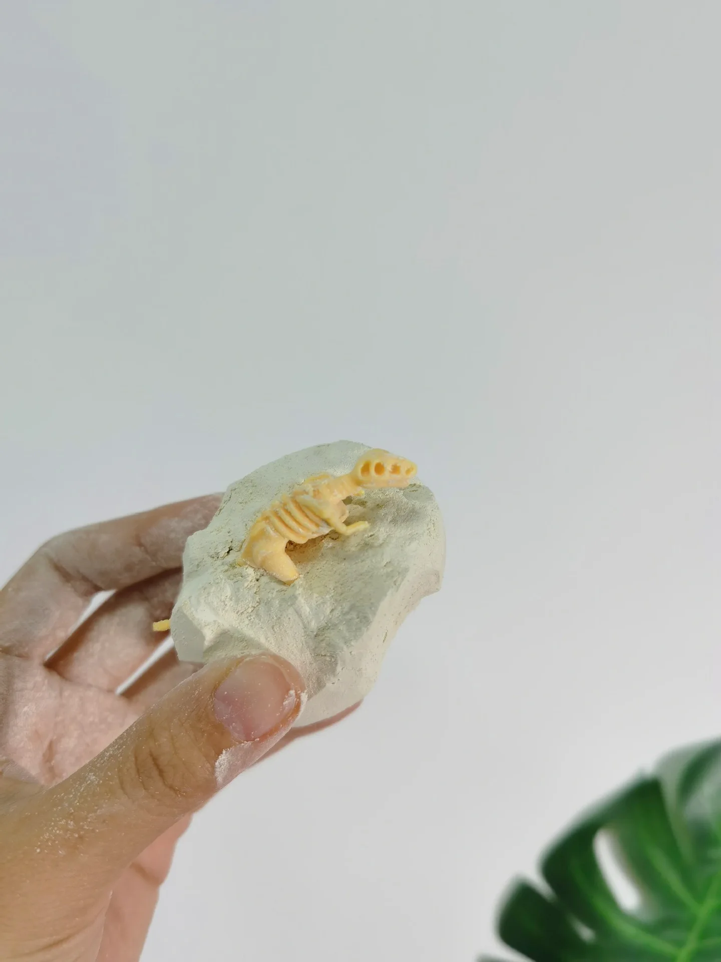 DIY Archaeological Dinosaur Model Excavation Plaster Cognitive Science and Education Hands-On Exploration of Scientific Wonders Gift Toy for Boys and Girls Random Style Dinosaur One Piece