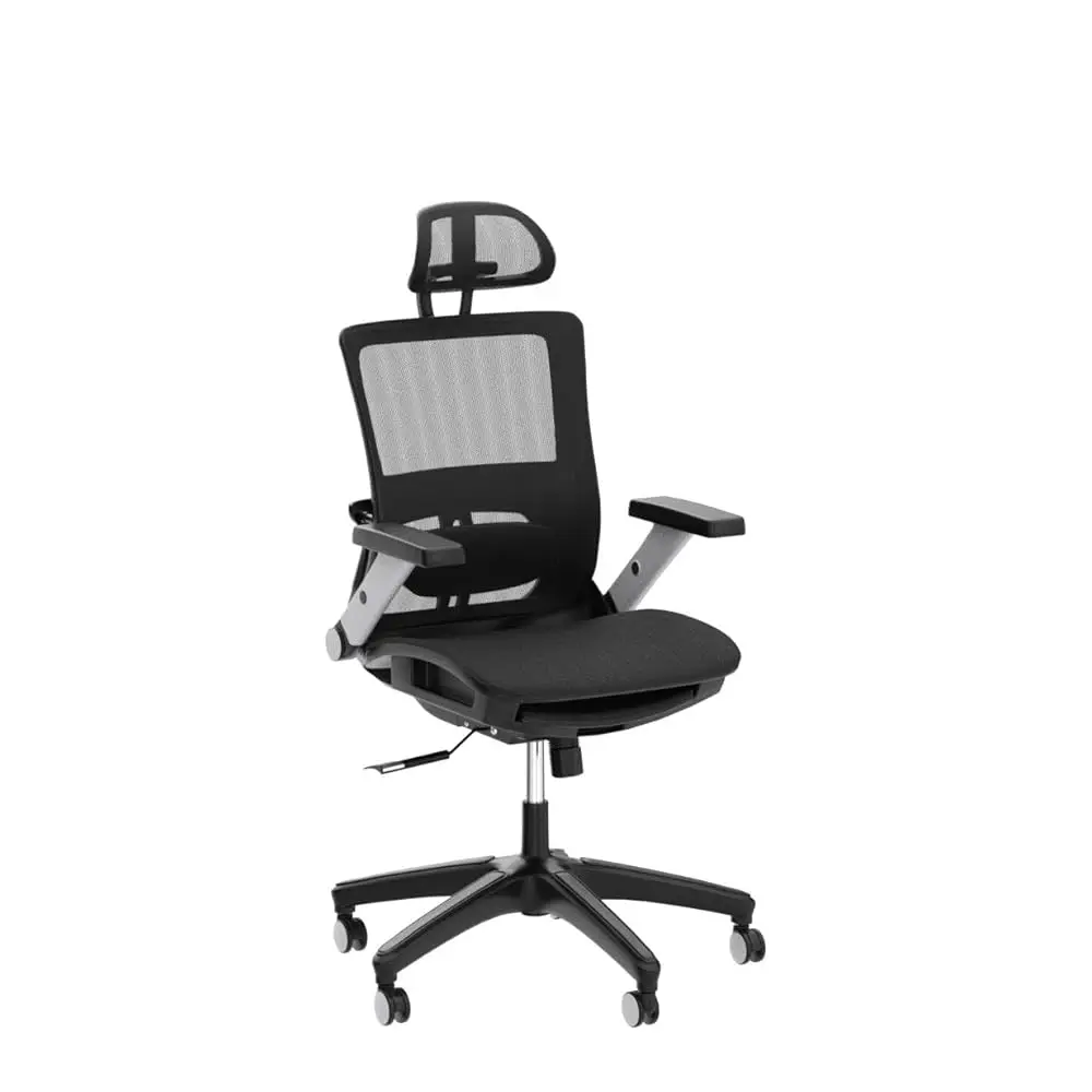Ergonomic Mesh Office Chair With Footrest, High Ba Computer Executive Desk Chair With Headrest And 4D Flip-Up Armrests,