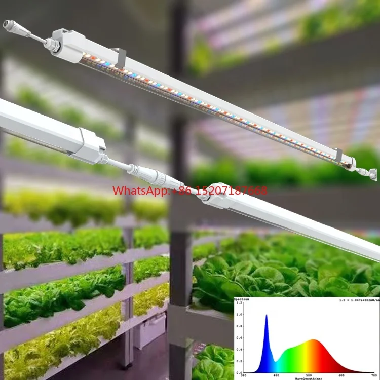 IP65 hidroponía T5 luces de cultivo tubo de 4 pies NFT plantas de interior microverde cultivo Vertical espectro completo 20W T5 Led barra de luz de cultivo