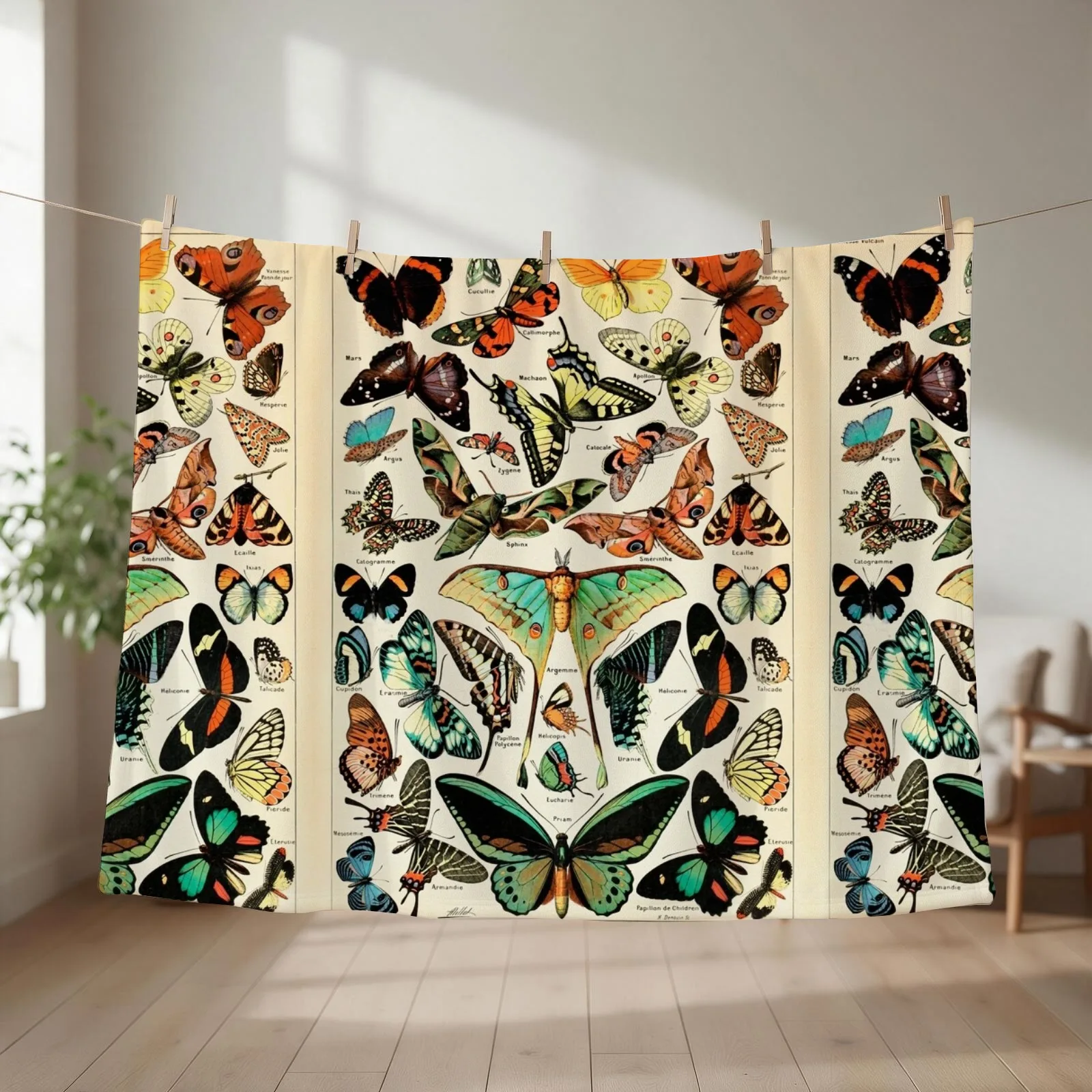 Papillon I Vintage French Butterfly Charts by Adolphe Millot Throw Blanket Thin Picnic Moving Cute Plaid Blankets