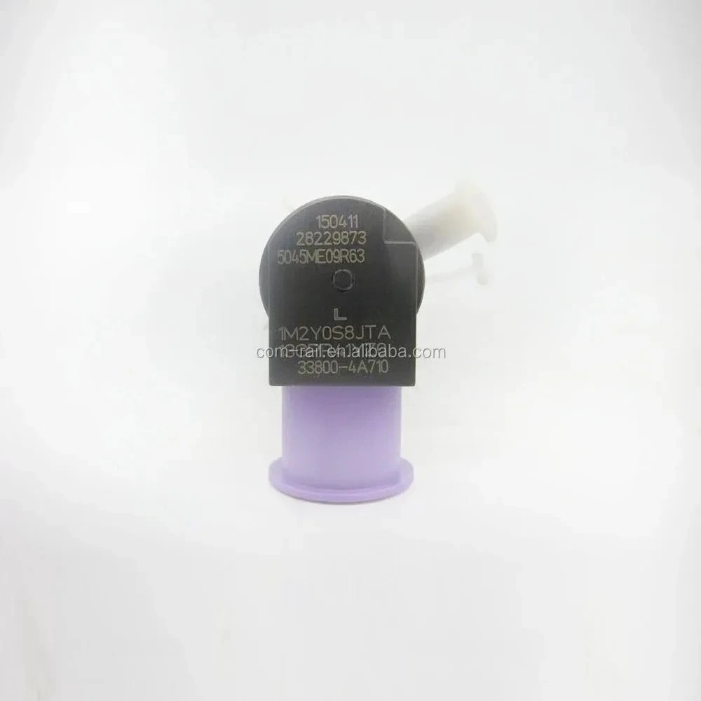 Original Genuine Injector 28229873 ,33800-4A710 ,338004A710