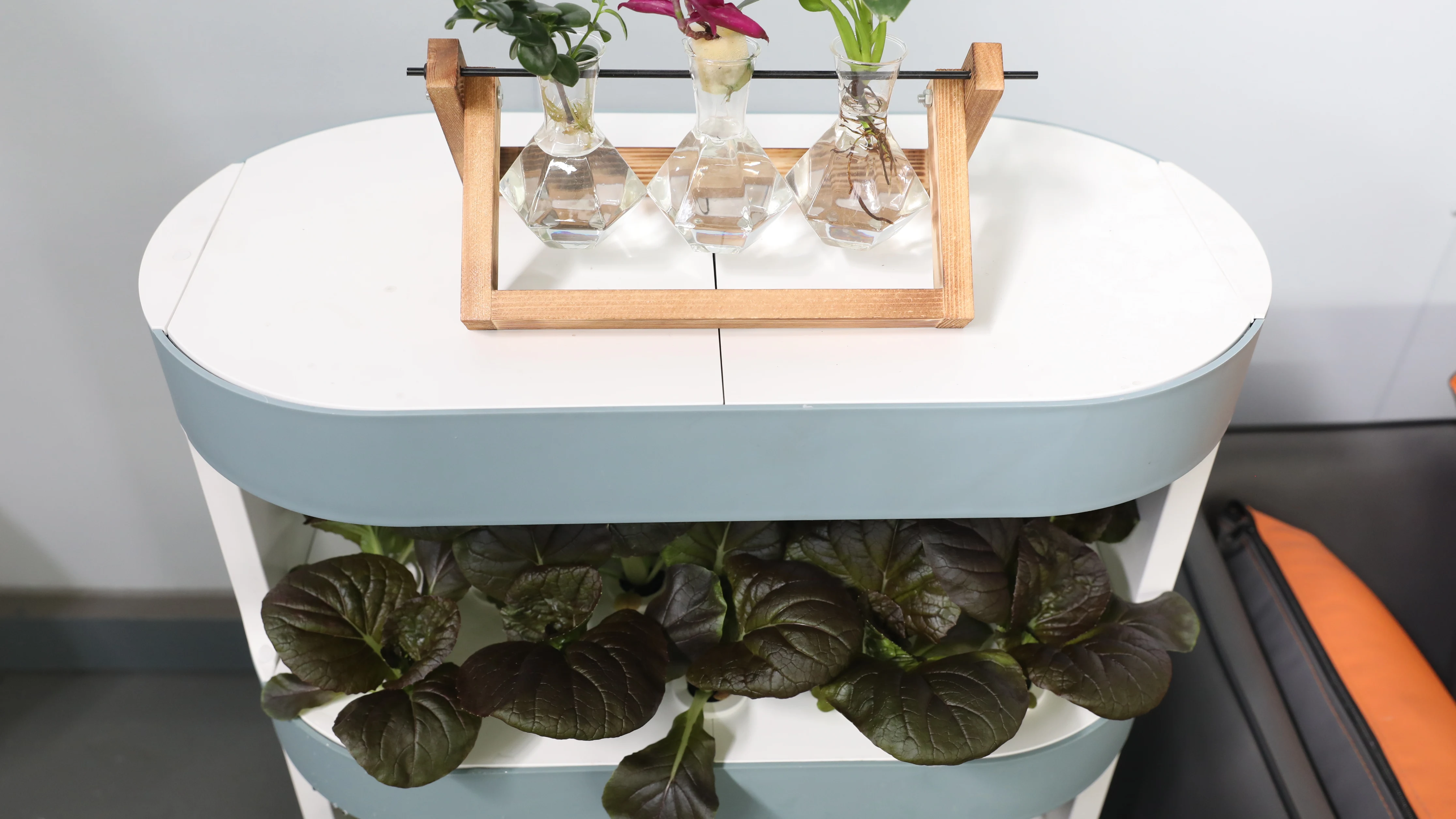 3 طبقات أثار المنزل مايكرو مزرعة الذكية حديقة زارع صندوق حامل نظام زراعة نباتات الأعشاب الداخلية #6