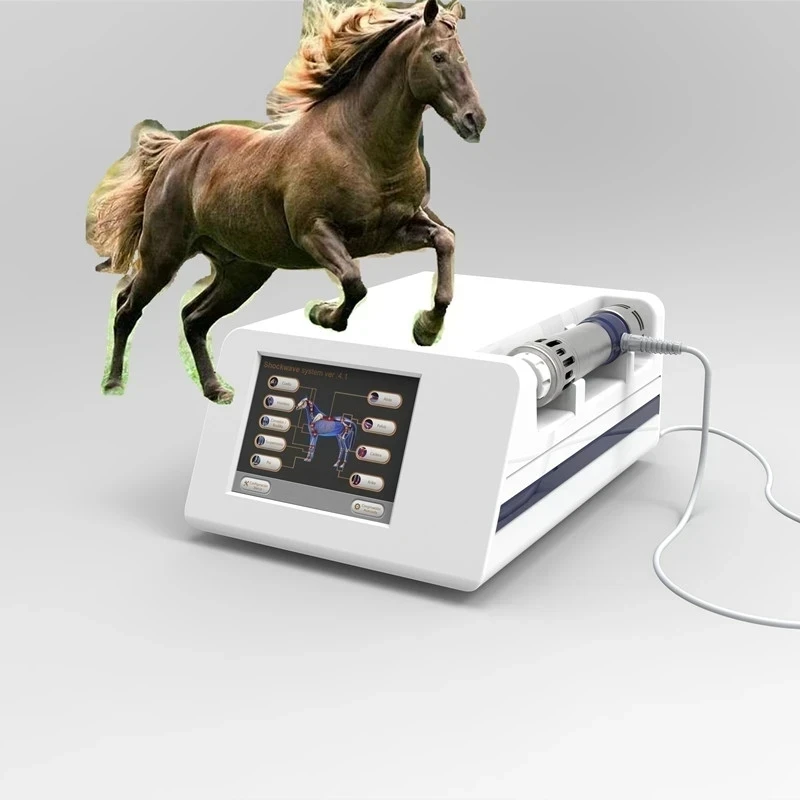 Nutzen für Pferd und Tiere Veterinaria Stoßwellen therapie Maschine Pferd Stoßwelle