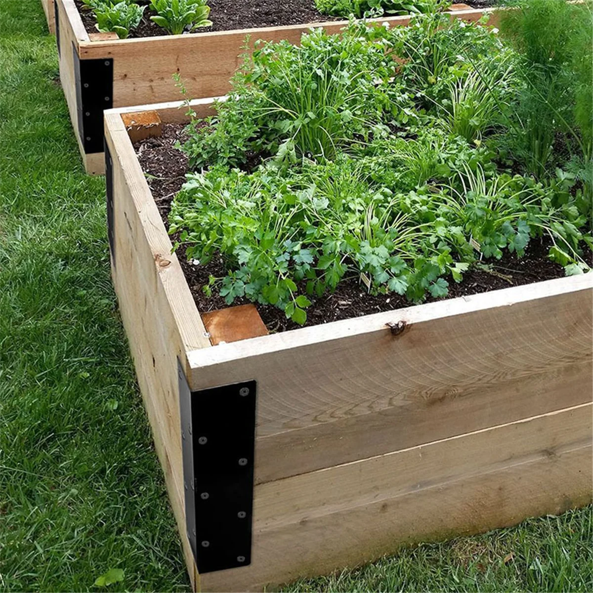 Yyg-Oraised Garden … - image