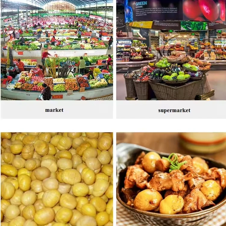 Automatic High Efficiency Chestnut Sheller/Chestnut Peeling Machine Stainless Steel Chestnut Sheller Husk Peeling Machine