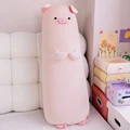 white pig