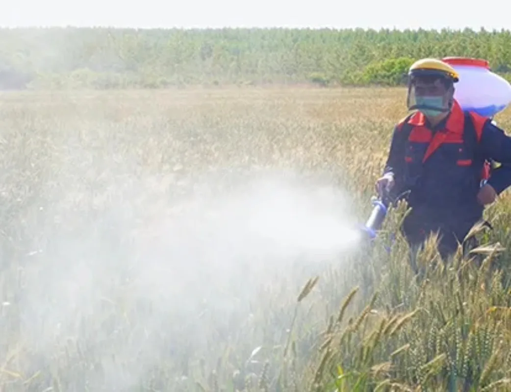 Professional Backpack Sprayer with Two-stroke Engine - Ideal for Pest Control, Disinfection, and Fertilization