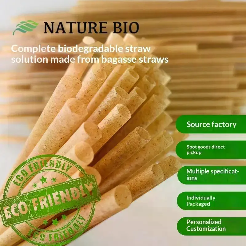 Eco-Friendly Plant-Based Sugarcane Fiber Straws Set Biodegradable Plastic-Free For Hot Cold Drinks Disposable Straw