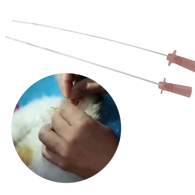 for Cat Catheter Luer Pet Animal for Cat Urinary Catheter without Stylus Catheterization Device for Calculus Drop ship