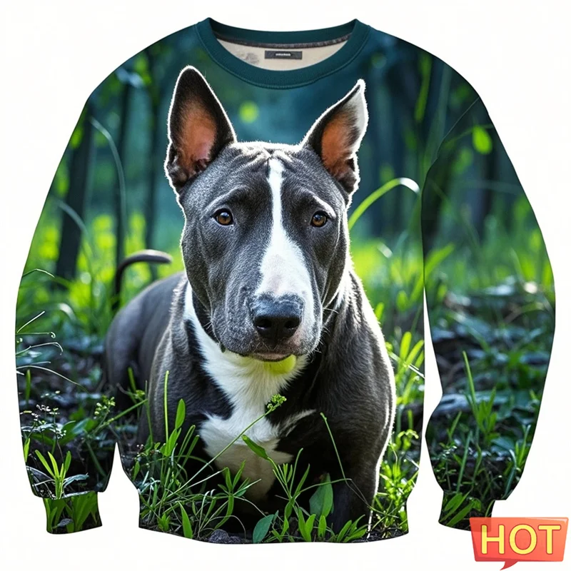 

Fashion Bull Terier Graphic Sweatshirts Clothes For Men 3d Printed Bulldog Harajuku Pullover For Kid Women Hoodie Sportwear Tops