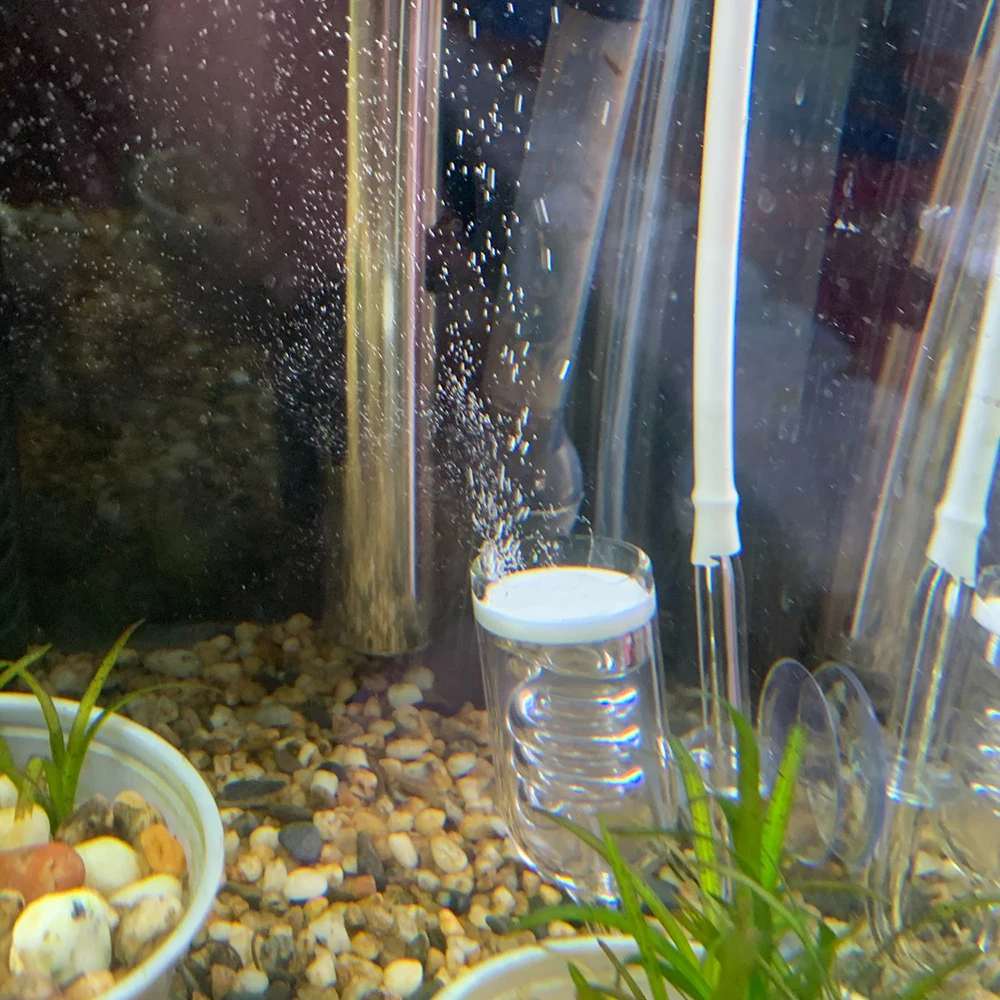 With Suction Cup Aquarium CO2 Diffuser DIY Glass Tank Bubble Reactor Moss CO2 Atomizer Solenoid Regulator For Fish Tank Plants