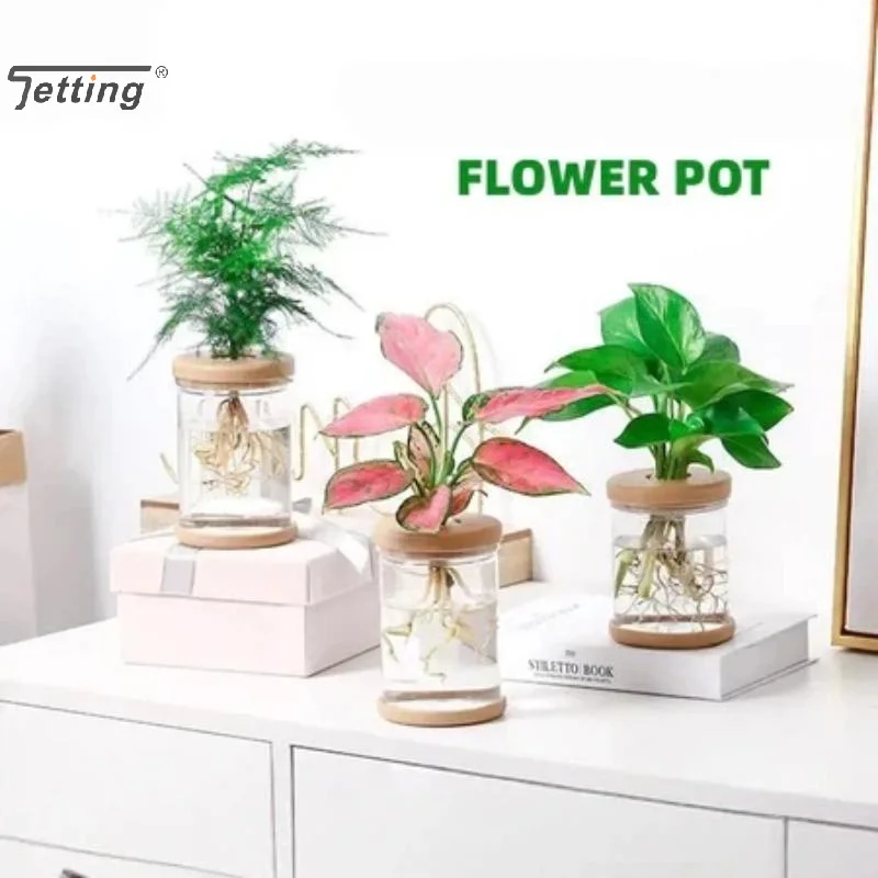 Nordic Plastic Hydroponic Vase Automatic Water Absorption Plant Pot Plastic Propagation Pot Desktop Flower Pot