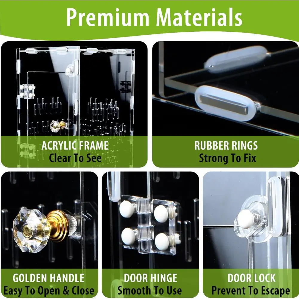 Kandang Laba-laba Loncat, Habitat Mantis Berdoa Akrilik Besar, Kandang Terarium Serangga Berventilasi 10*6*6 inci dengan Bukaan Depan