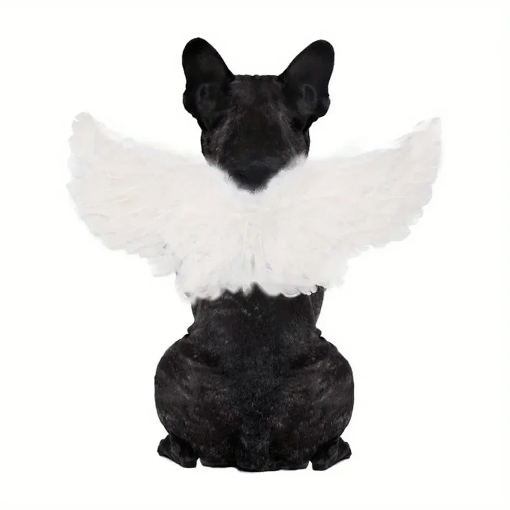 

Pet Angel Wings Chest Back Halloween Creative Cat Dog Small Dog Transformation Clothing New Product