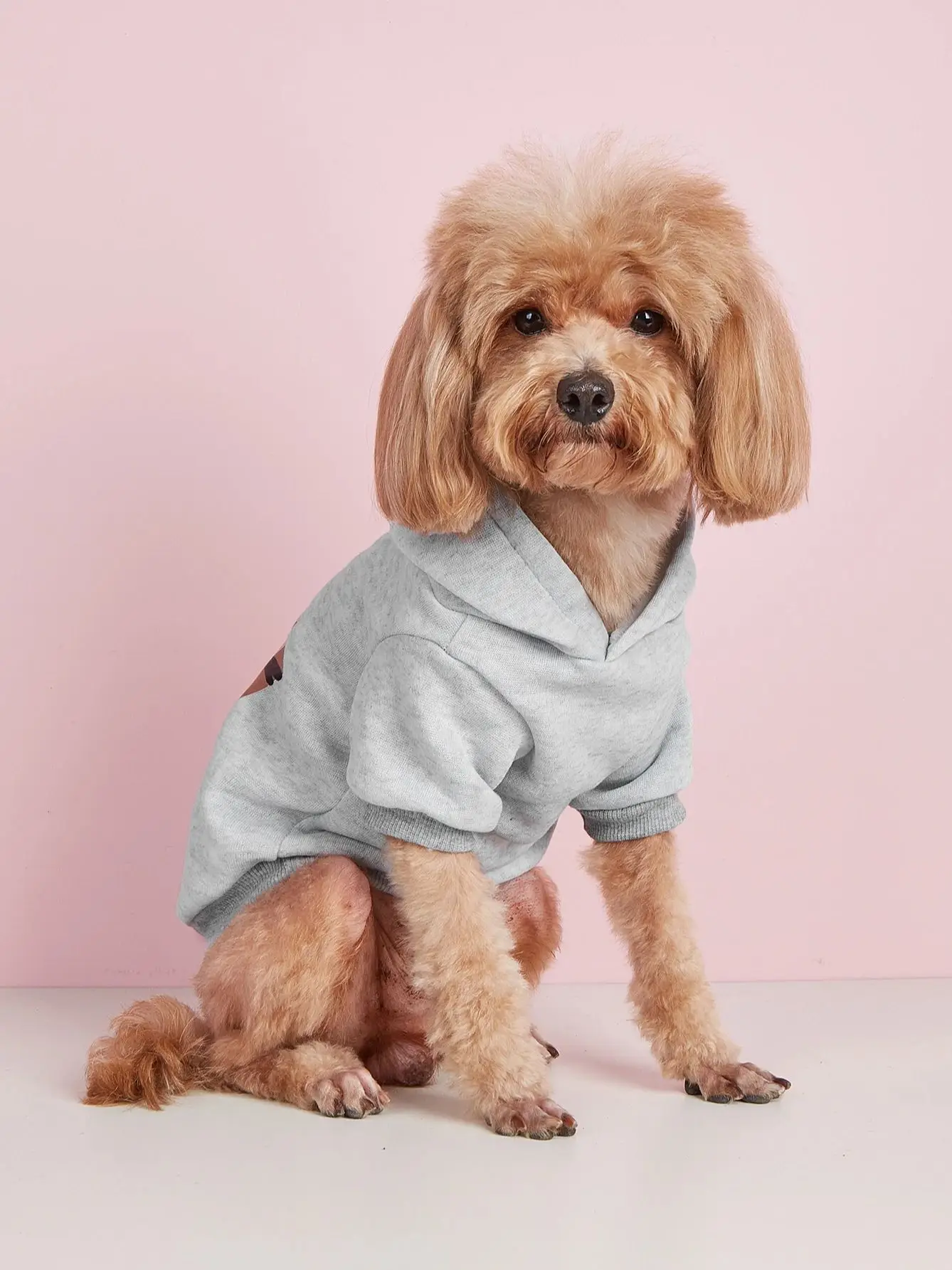 Pet clothes, dogs, cats, sweatshirts, warm and comfortable with velvet, printed clothes, simple and generous