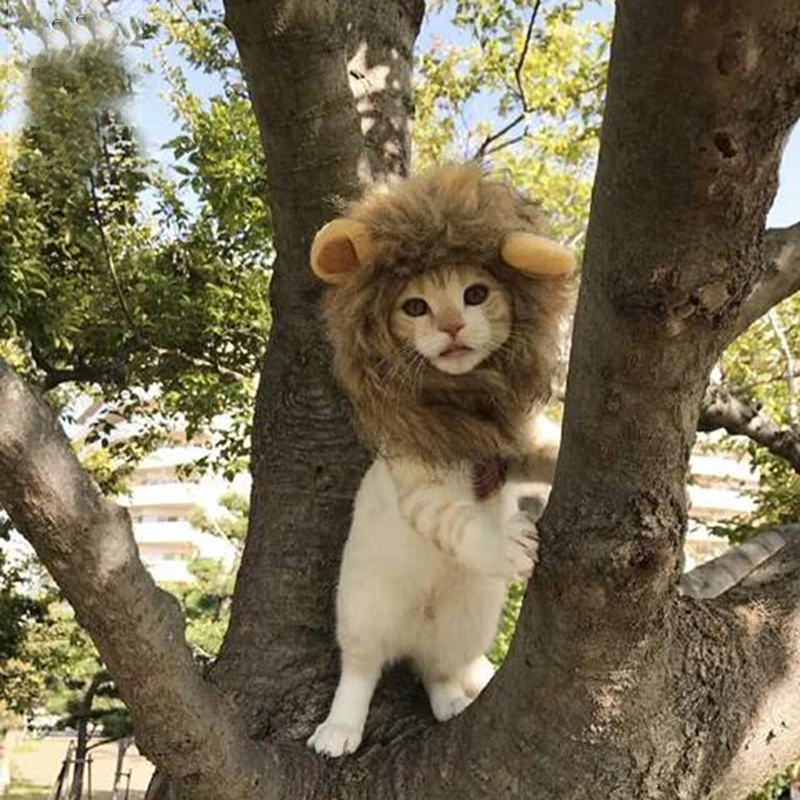 Funny Cute Pet Costume Cosplay The Lion Small Ears Wig Cap Hat for Cat Halloween Clothes Fancy Hat Cat Dog Headgear Hat Turned