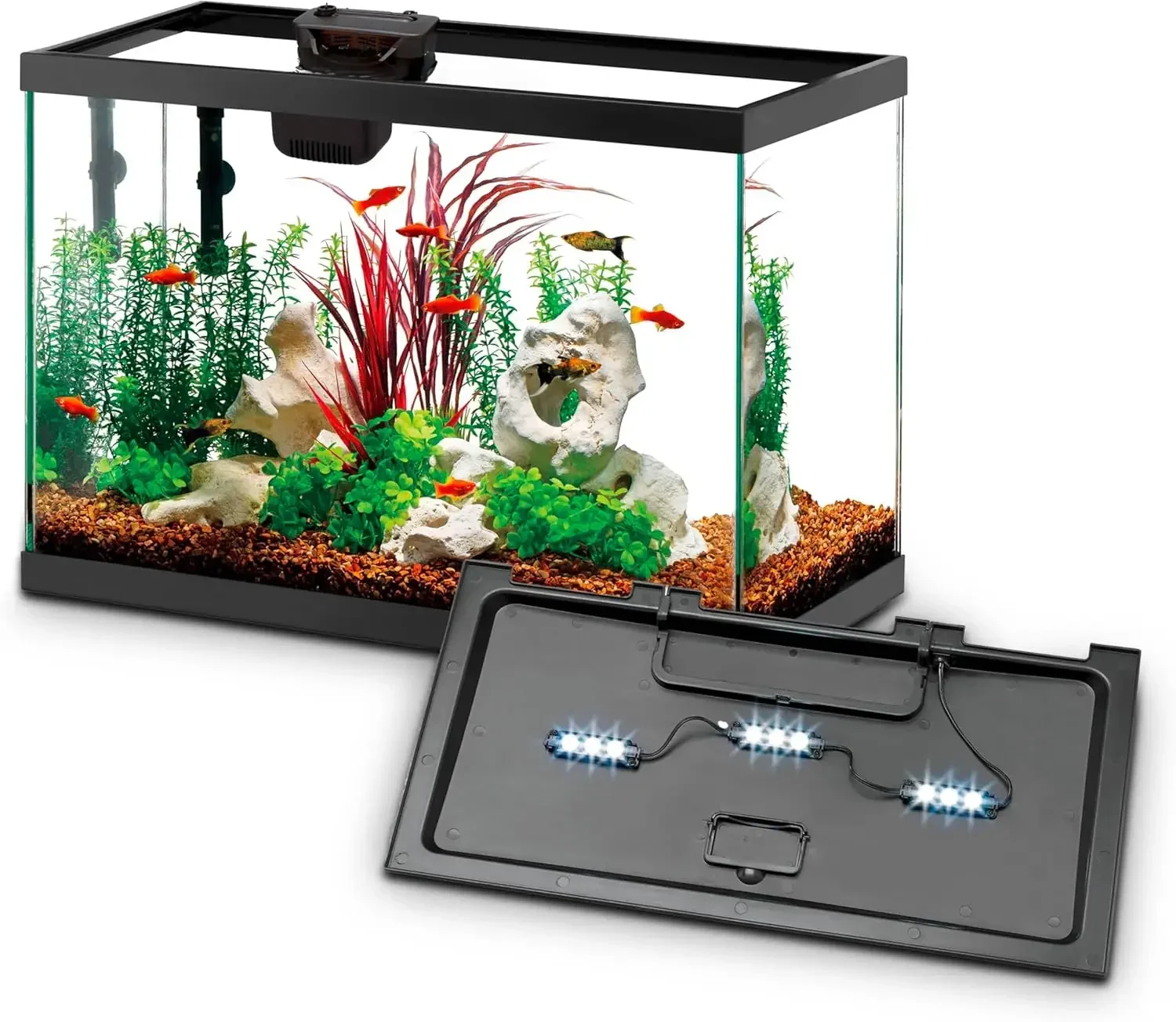 Aquarium Starter Kit with Smart Clean Filtration and LED Lighting, Freshwater and Saltwater Fish, Perfect for Tetras, Guppies, P