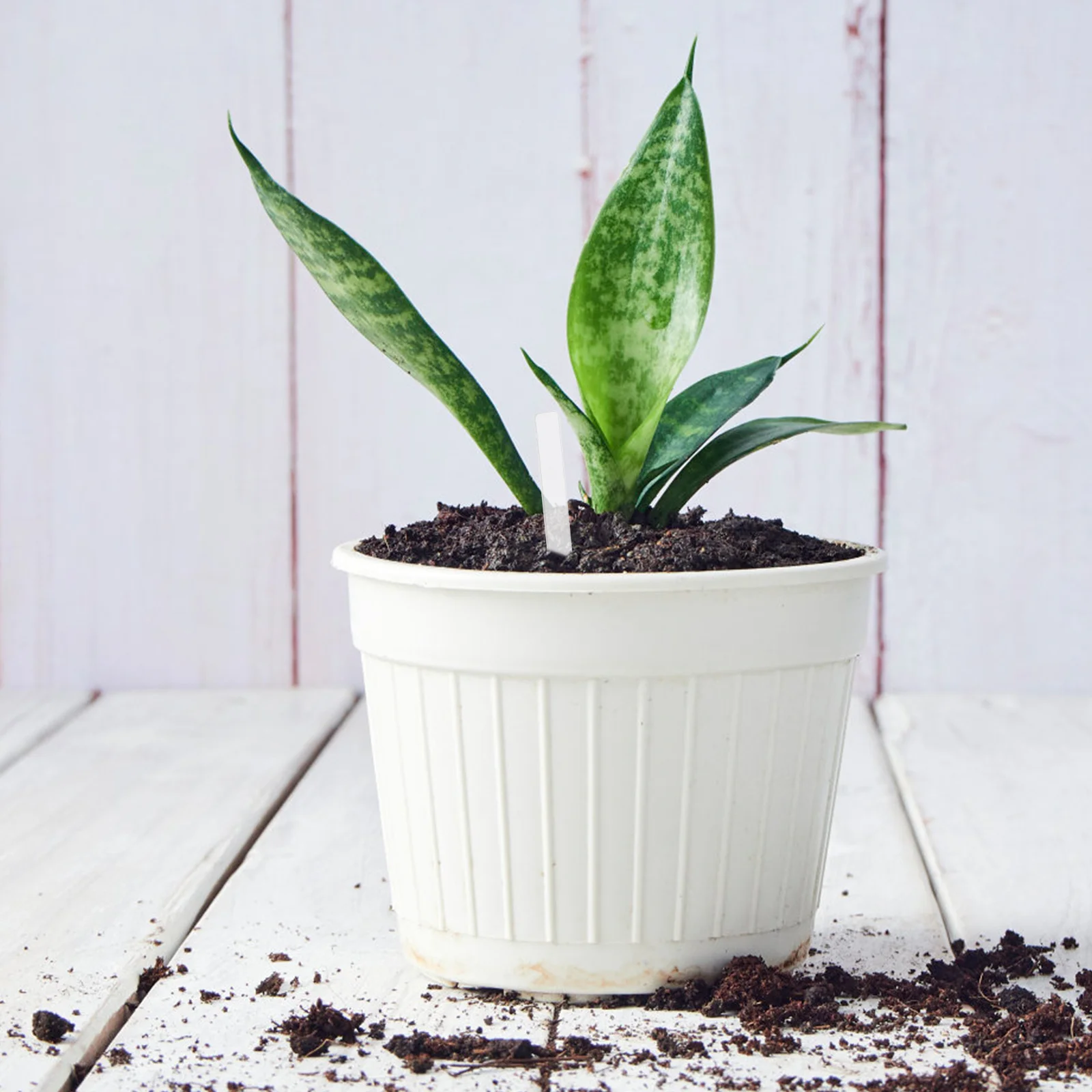 

48Pcs Plant Label Tags Acrylic Garden Markers for Plants Lightweight Portable Storage Friendly Succulent Vegetable