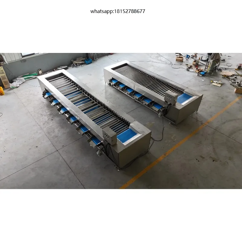 Vegetable and Fruit Automatic Sorting & Grading Machine