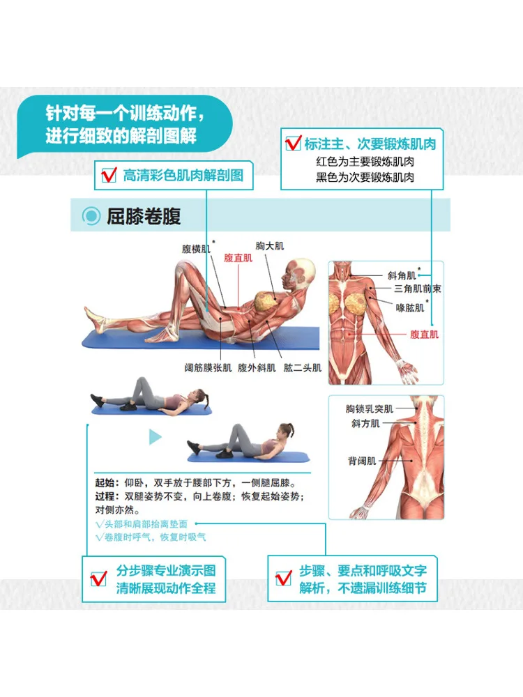 Książka-Winshare Core Training Anatomy Wall Chart