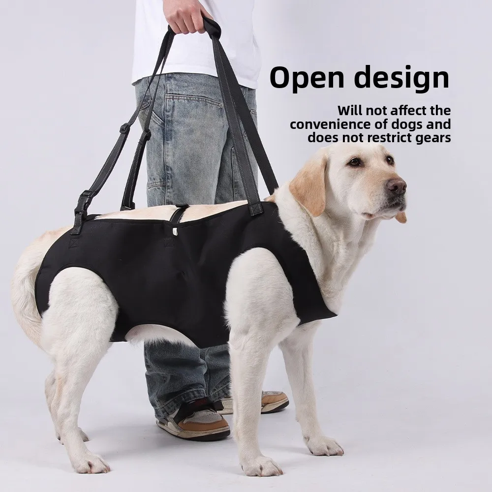 #38 Latest Dog Seat Belt Harness Offers