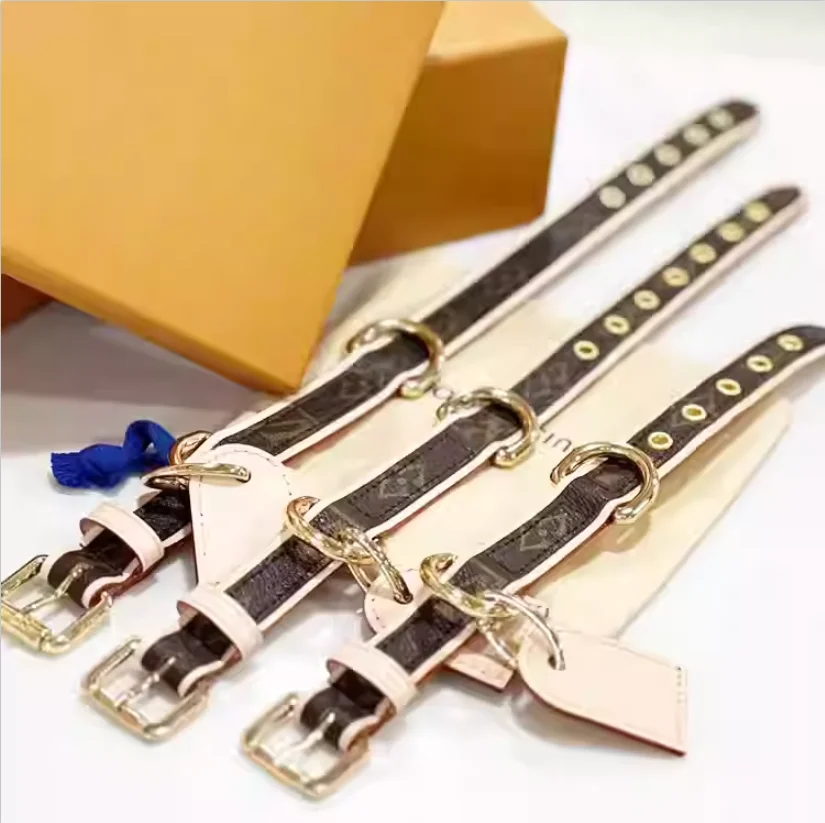 مقود الكلاب الكلاسيكية، أطواق الكلاب الصغيرة والمتوسطة الحجم، حلقات الرقبة Bichon Frise، أغطية الرقبة الحبلية، مستوى المظهر العالي