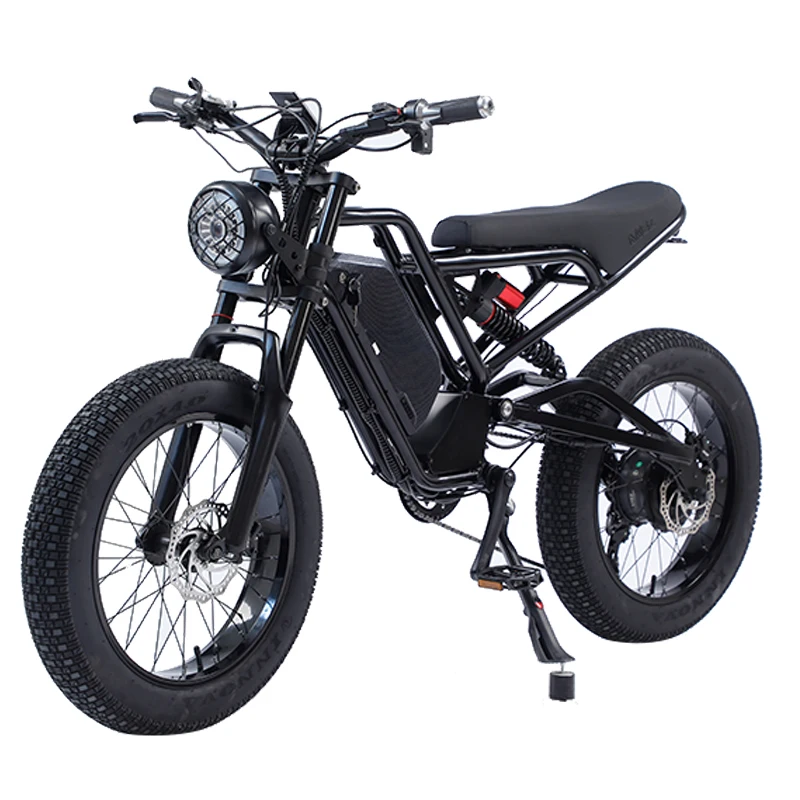 

48V 750W/1500W 18Ah 20*4.0 Inch Fat Tire On-road & Off-road Electric Bicycle OEM & ODM US and UK Warehouse