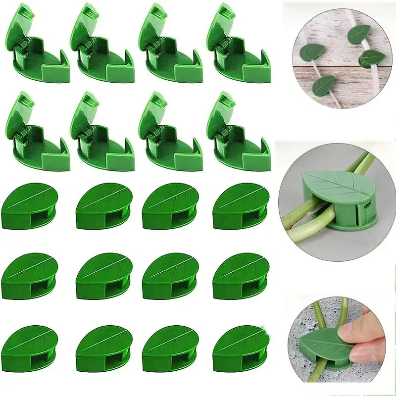 10/20/30/50/60 Pcs Plant Climbing Wall Fixture Rattan Vine Bracket Fixed Buckle Leaf Clips Traction Holder Garden