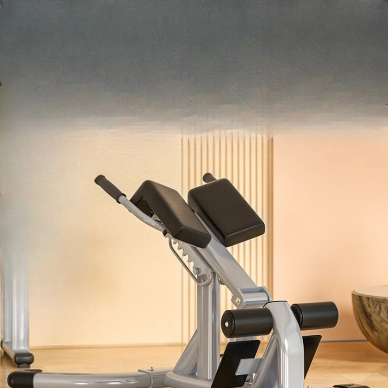 

Commercial Fitness Equipment Roman Stool Professional Waist Abs Back Muscle Trainer Household