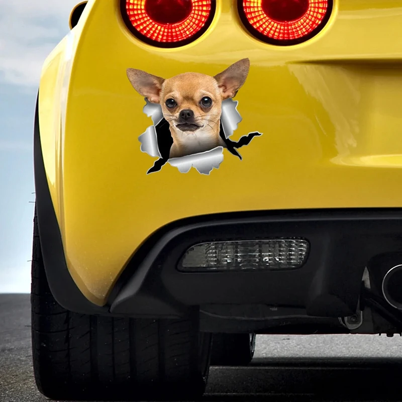 S62239# Car Sticker Chihuahua Dog Pet Animal Waterproof Vinyl Decal Car Accessories Decor Pegatinas Para Coche