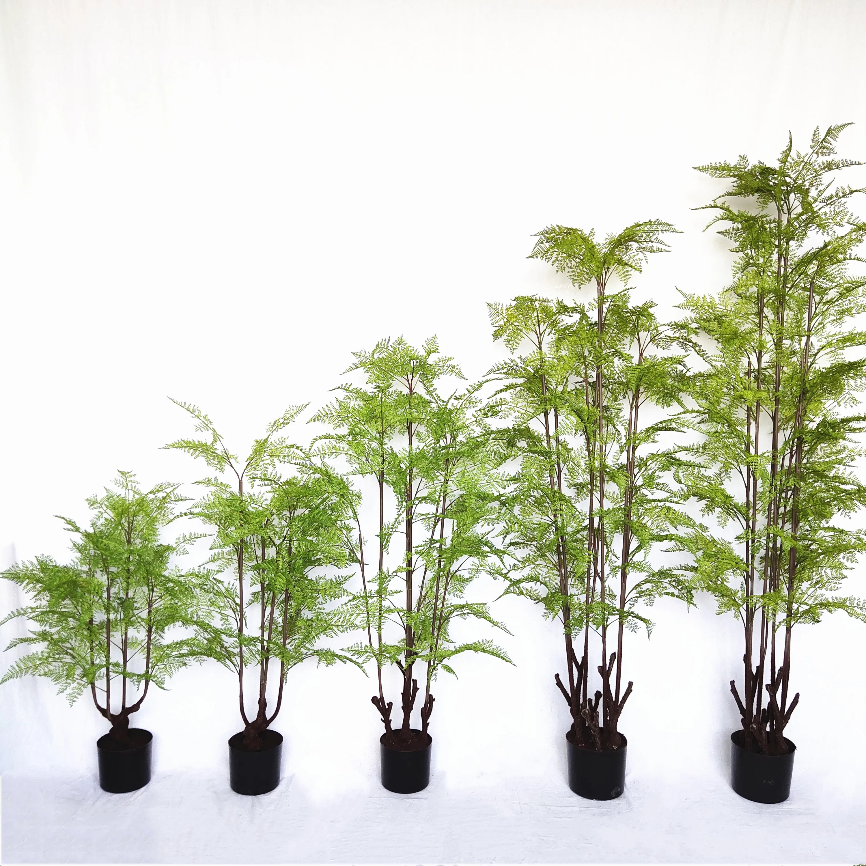 

Customizable fern tree high quality simulation green plant window