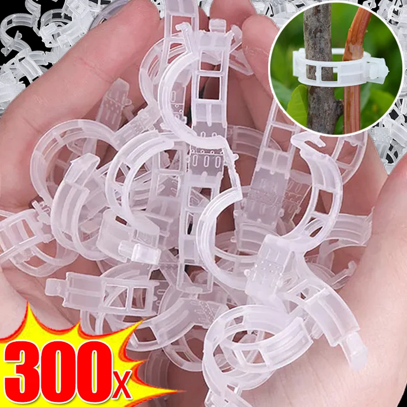 

50/300PCS Plastic Plant Supports Clips Reusable Connects for Tomato Vine Stem Grafting Plants Vegetable Clip Orchard Garden Tool