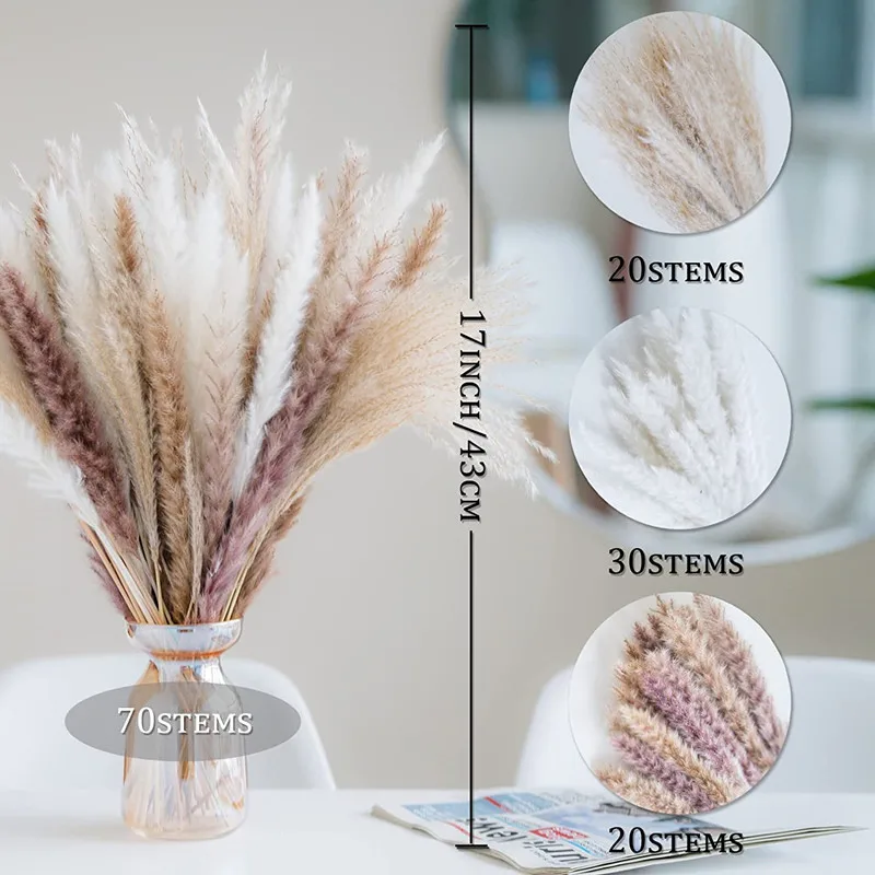 70Pcs Natural Pampas Grass Dried Flowers For Home And Room Decor Fluffy Soft Pampas For Birthday Decoration Bouquet for Wedding