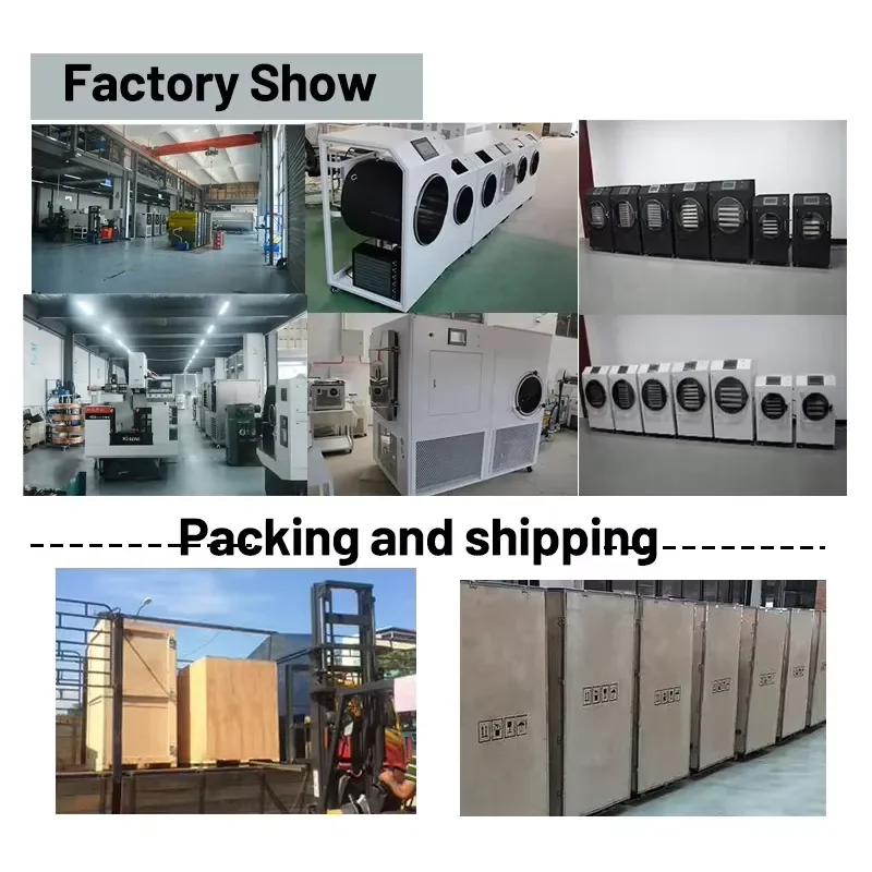 Home Dryer 4 Tray ophilizer hine for Fruit Banana Strawberry Kiwi Food Preserion Commercial Use