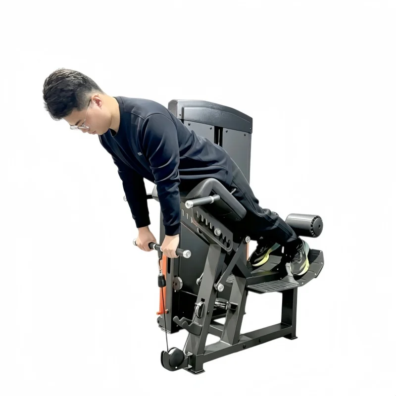 Price Strength Training Pin Loaded Lying Prone Leg Kick Back Equipment Hip Thrust Glute Raise Trainer Glute Kickback Machine
