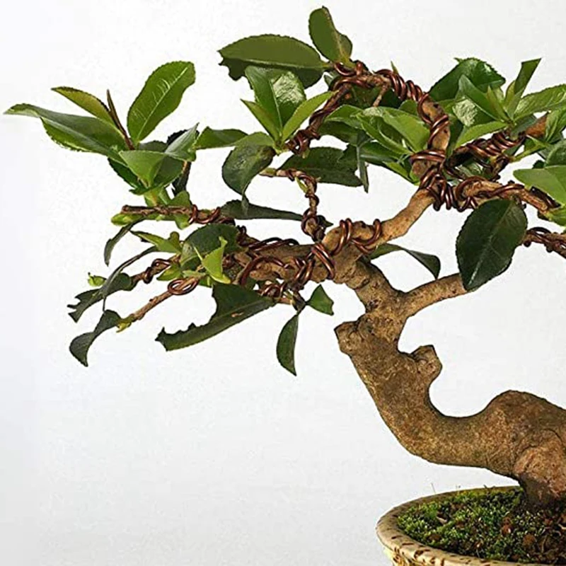 بونساي سلك تدريب شجرة ، قاطع ألومنيوم بأكسيد ، عقد فروع بونساي ، جذوع صغيرة ، بني ، 5 لفة