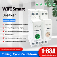 Tuya WiFi Smart Switch Circuit Breaker Metering 1P 63A DIN Rail Power Metering Energy Monitor Remote Control Switch Smart Home