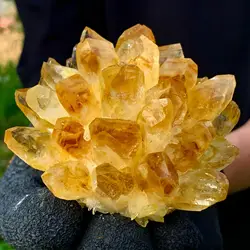 New Find Natural Yellow Phantom Quartz Crystal Cluster guarigione di campioni minerali