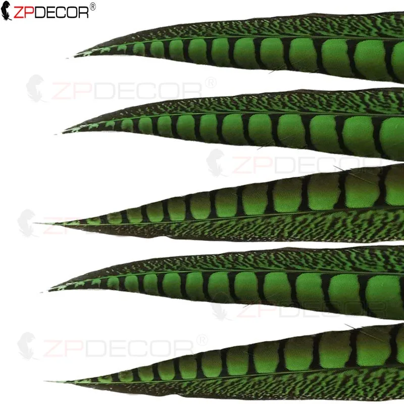 ZPDECOR Lady Pheasant Feathers 90-100cm/36-40 Inch Long Feathers for Carnival Accessory