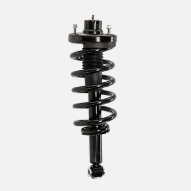 2L1Z18124AD Shock Absorber Auto Parts Auto Suspension System 5L1Z18125 Shock Absorber 2L1Z18124AC for Ford Expedition