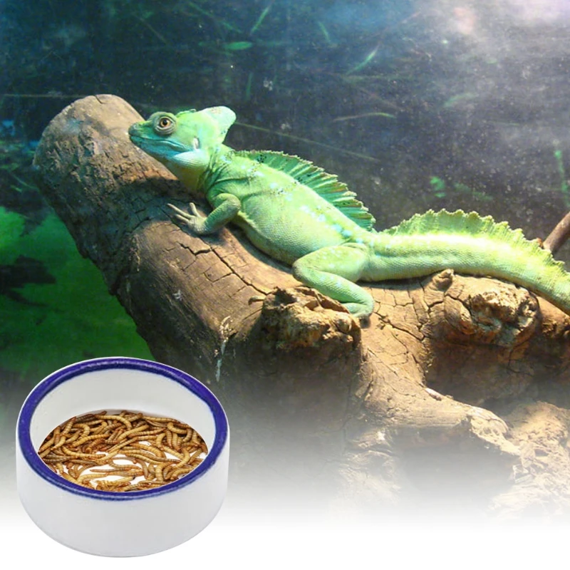 Water Food Bowl Ceramic Pet Bowls Anti-Escape Mini Mealworms Dish for Lizard Bearded Dragon