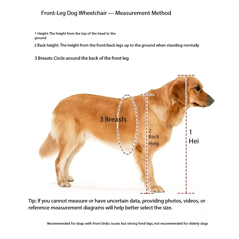 Pet Lightweight Metal Front Support Cart with Adjustable Rear Comfort Pad Small Dog Outdoor Activity Auxiliary Walking Vehicle
