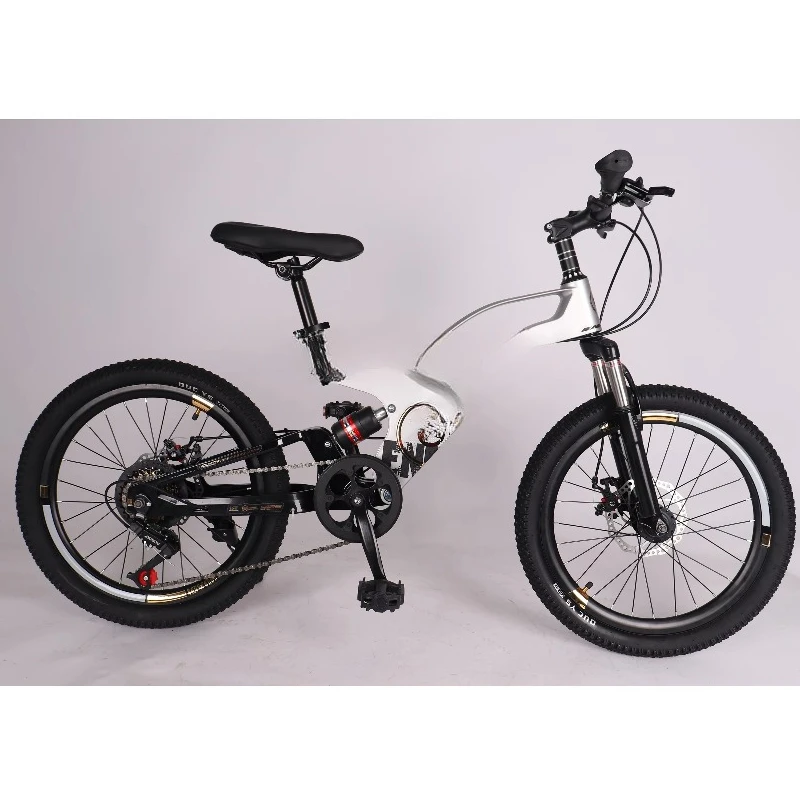 

Sports Boys and Girls Mountain Bikes Kids Bikes 12 to 20 Kids Bikes
